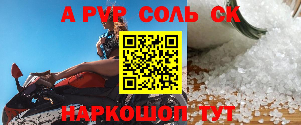 A PVP СК КРИС Сочи