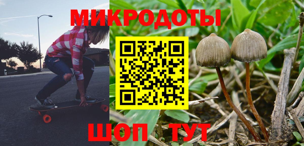 Псилоцибиновые грибы мухоморы Сочи