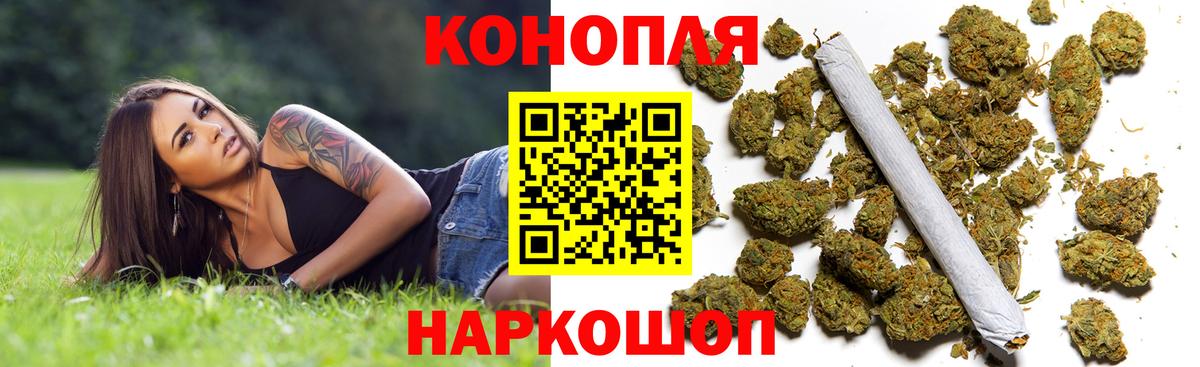 Бошки Шишки семена Сочи